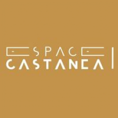 Logo Castanéa