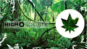 Logo High Society
