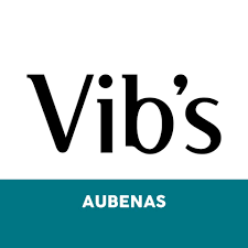 Logo Vib's