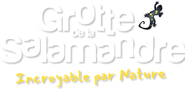 Logo Grotte de la Salamandre